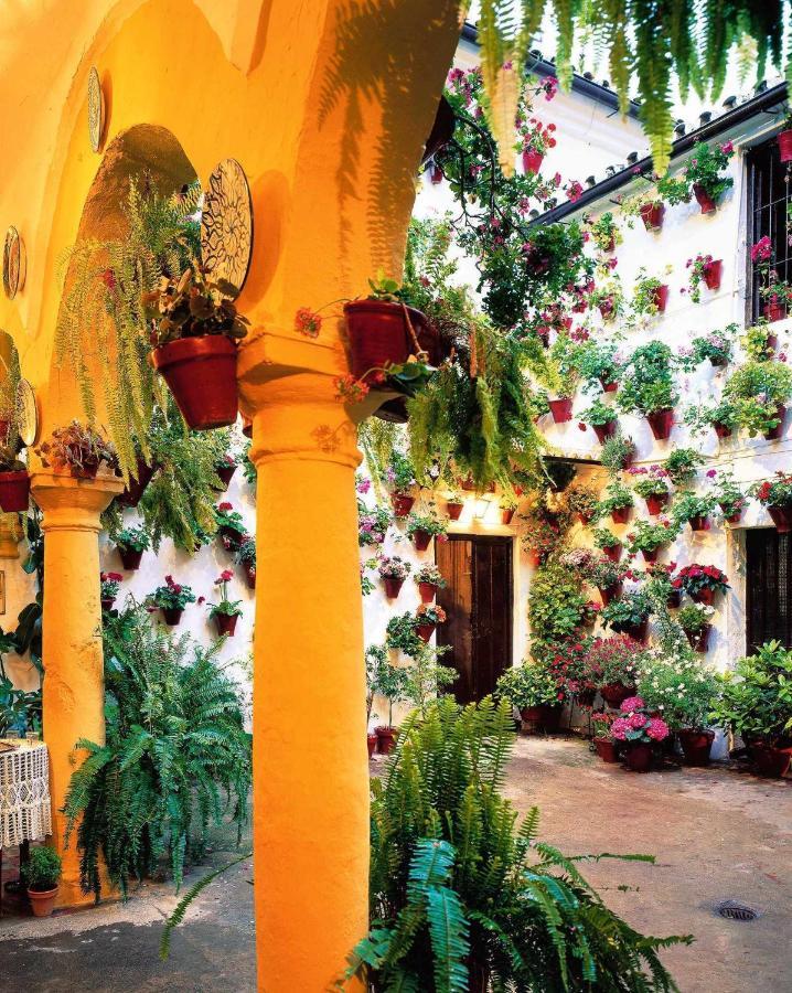 Apartment Grupo Limcotel Perla 2